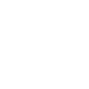 Lightning bolt icon representing fast processing